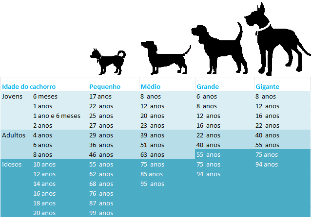 Idade dos cães em relação aos Humanos
